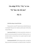 Gia nhập WTO, “Tây” sẽ vào “Ta” làm việc thế nào? (Kỳ 2) pdf