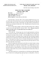 SKKN-Việc làm mới (Tổ chức bữa ăn trưa cho trẻ mầm non)