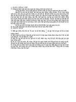 Bài kiểm tra học sinh khá, giỏi lớp 2