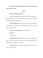 Đề cương giải phẫu học phần III (Phần 2) potx