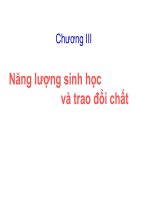 Chương 3: Năng lượng sinh học và trao đổi chất pps