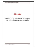 Thiết lập và thẩm định dự án đầu tư cửa hàng pizza long xuyên