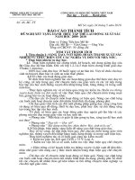 Báo cáo thành tích cuối năm đề nghị khen thưởng