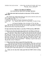 BAO CAO HOAT DONG  ban Thanh tra nhan dan