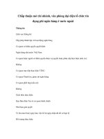 Chấp thuận mở chi nhánh, văn phòng đại diện tổ chức tín dụng phi ngân hàng ở nước ngoài pdf