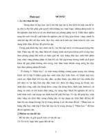 sáng kiến kinh nghiệm vật lý