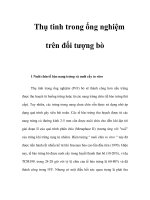 Thụ tinh trong ống nghiệm trên đối tượng bò pps