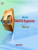 Báo cáo mantis bugtracker