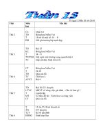 Giao an lop 2 - Tuan 13 - CKTKN