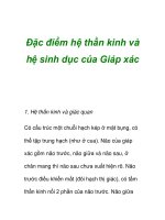 Đặc điểm hệ thần kinh và hệ sinh dục của Giáp xác docx