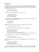 ÁO DÀI VIỆT NAM TRONG THƠ CA