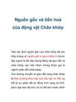 Nguồn gốc và tiến hoá của động vật Chân khớp ppsx