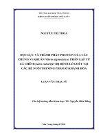 Độc lực và thành phần Protein của các chủng vi khuẩn Vibrio alginolyticus phân lập từ cá chẽm (Lates calcarifer) bị bệnh lở loét tại các bè nuôi thương phẩm ở Khánh Hòa