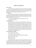 Giáo trình Bệnh học nội khoa Tập 2 (Phần 2) pot