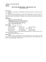 Đề thi chọn HSG lớp 3