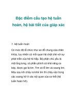 Đặc điểm cấu tạo hệ tuần hoàn, hệ bài tiết của giáp xác pot
