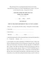 Mẫu giấy đăng ký lĩnh vực hoạt động kiểm định kỹ thuật an toàn lao động ppsx