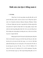 Sinh sản của lợn ở đông nam á pps