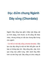Đặc điểm chung Ngành Dây sống (Chordata) doc