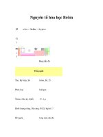 Nguyên tố hóa học Brôm pdf