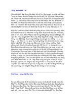 Tháp Nhạn Phú Yên ppt