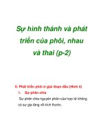 Sự hình thành và phát triển của phôi, nhau và thai (p-2) ppsx