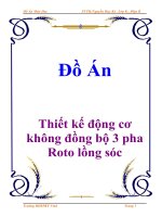 Đồ án: Thiết kế động cơ không đồng bộ 3 pha Roto lồng sóc pps