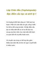 Lớp Chân đầu (Cephalopoda) docx