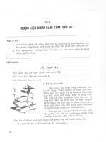 Giáo trình dược liệu (Bài 5) pdf