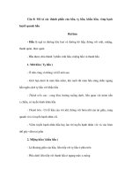 Đề cương giải phẫu học phần III (Phần 3) ppsx