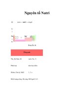 Nguyên tố Natri doc