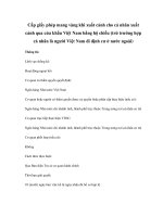 Cấp giấy phép mang vàng khi xuất cảnh cho cá nhân xuất cảnh qua cửa khẩu Việt Nam bằng hộ chiếu (trừ trường hợp cá nhân là người Việt Nam đi định cư ở nước ngoài) doc