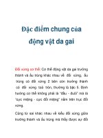 Đặc điểm chung của động vật da gai Đối xứng cơ thể: Cơ thể động vật da doc