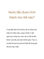 Nước tiểu được hình thành như thế nào? Trong điều kiện bình thường, nếu doc