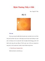 Bệnh Thường Thấy ở Mắt Bác sĩ Nguyễn Ý Đức (Kỳ 2) ppt