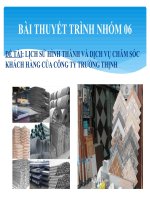 lịch sử hình thành và dịch vụ chăm sóc khách hàng của công ty trường thịnh