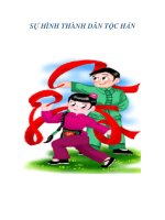 SỰ HÌNH THÀNH DÂN TỘC HÁN ppsx