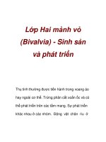 Lớp Hai mảnh vỏ (Bivalvia) - Sinh sản và phát triển pptx
