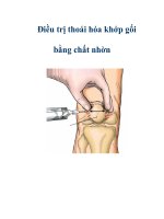 Điều trị thoái hóa khớp gối bằng chất nhờn docx