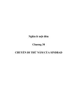 CHUYẾN ĐI THỨ NĂM CỦA SINDBAD ppt