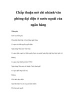 Chấp thuận mở chi nhánh/văn phòng đại diện ở nước ngoài của ngân hàng ppt