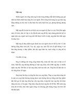 Dinh dưỡng và sức khỏe: Mật ong potx