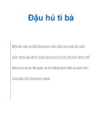 Đậu hủ tì bà ppt