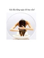 Gội đầu hằng ngày tốt hay xấu? pps
