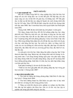 sang kien kinh nghiem (Bao)