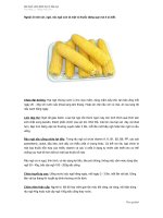 Thuốc hay từ bắp ngô