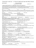 đè thi thử tốt nghiệp năm 2010