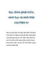 Đặc điểm phát triển, sinh học và sinh thái của Hàm tơ ppsx