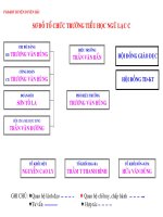 Sơ đồ tổ chức