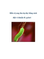 Điều trị ung thư dạ dày bằng cách diệt vi khuẩn H. pylori pptx